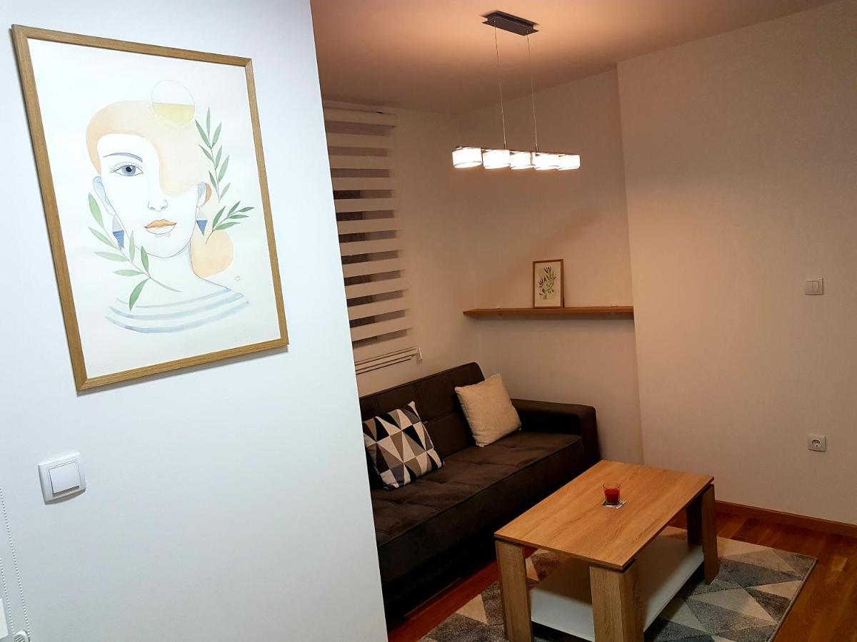 Apartman Istra, Добой Экстерьер фото